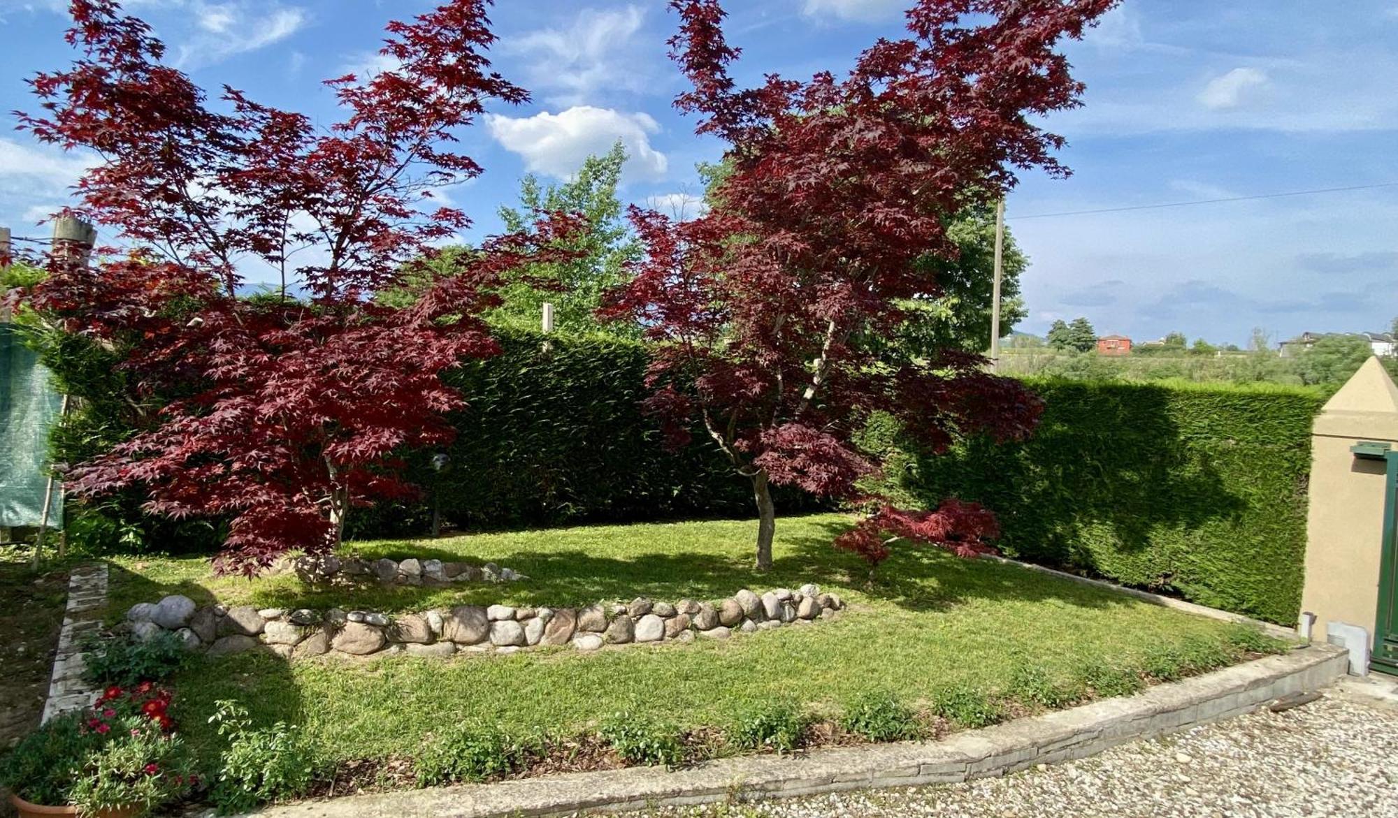 B&B Civico 61 Pastrengo Dış mekan fotoğraf